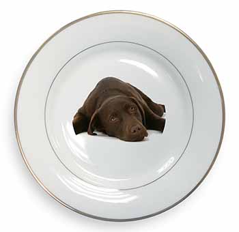 Chocolate Labrador Dog Gold Rim Plate Printed Full Colour in Gift Box