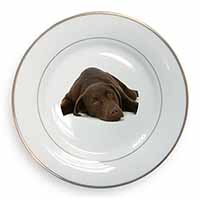 Chocolate Labrador Dog Gold Rim Plate Printed Full Colour in Gift Box