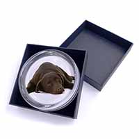 Chocolate Labrador Dog Glass Paperweight in Gift Box