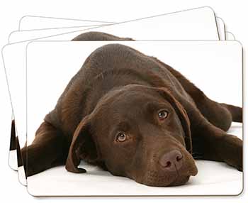 Chocolate Labrador Dog Picture Placemats in Gift Box