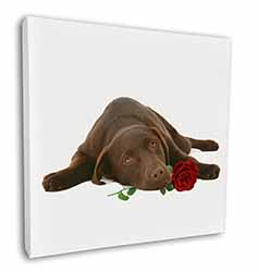 Chocolate Labrador with Red Rose Square Canvas 12"x12" Wall Art Picture Print