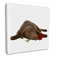 Chocolate Labrador with Red Rose Square Canvas 12"x12" Wall Art Picture Print