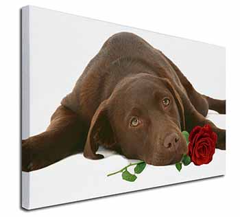 Chocolate Labrador with Red Rose Canvas X-Large 30"x20" Wall Art Print