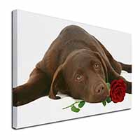 Chocolate Labrador with Red Rose Canvas X-Large 30"x20" Wall Art Print
