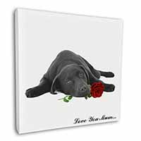 Labrador with Rose 