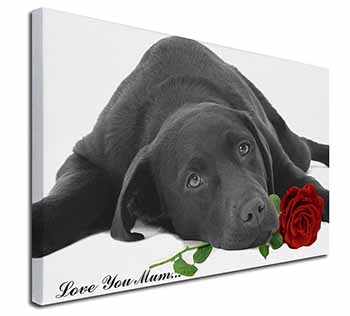 Labrador with Rose 