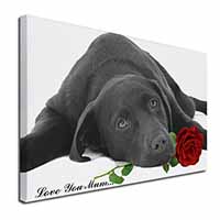 Labrador with Rose 