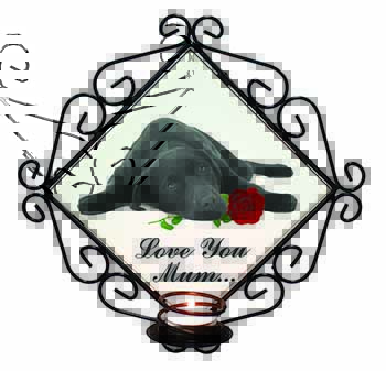 Labrador with Rose 