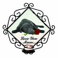 Labrador with Rose 