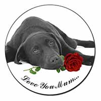 Labrador with Rose 