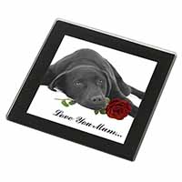 Labrador with Rose 