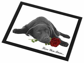 Labrador with Rose 