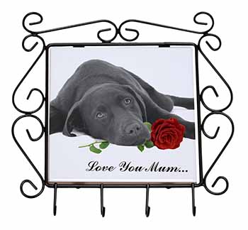 Labrador with Rose 