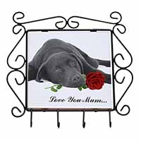 Labrador with Rose 