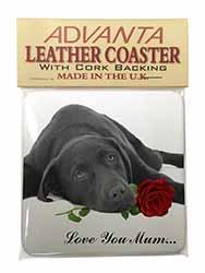 Labrador with Rose 