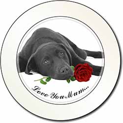 Labrador with Rose 