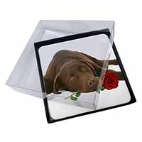 4x Chocolate Labrador with Red Rose Picture Table Coasters Set in Gift Box