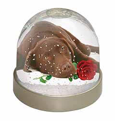 Chocolate Labrador with Red Rose Snow Globe Photo Waterball