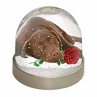 Chocolate Labrador with Red Rose Snow Globe Photo Waterball
