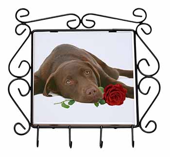 Chocolate Labrador with Red Rose Wrought Iron Key Holder Hooks