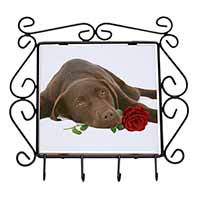 Chocolate Labrador with Red Rose Wrought Iron Key Holder Hooks