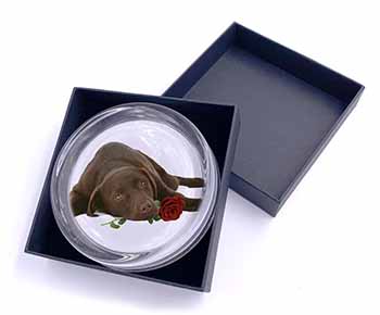 Chocolate Labrador with Red Rose Glass Paperweight in Gift Box