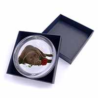 Chocolate Labrador with Red Rose Glass Paperweight in Gift Box