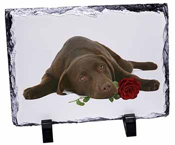 Chocolate Labrador with Red Rose, Stunning Photo Slate