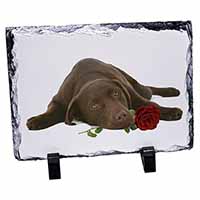 Chocolate Labrador with Red Rose, Stunning Photo Slate