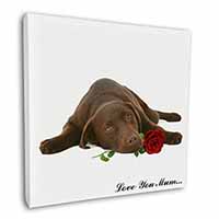 Choc Labrador with Rose 