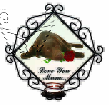 Choc Labrador with Rose 