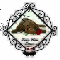 Choc Labrador with Rose 