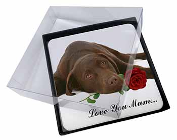 4x Choc Labrador with Rose 