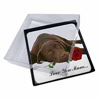 4x Choc Labrador with Rose 