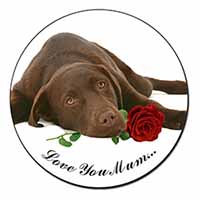 Choc Labrador with Rose 