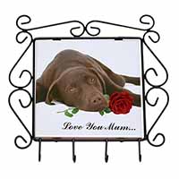 Choc Labrador with Rose 
