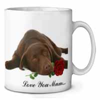 Choc Labrador with Rose 