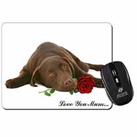 Choc Labrador with Rose 