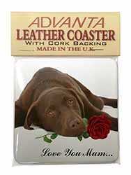 Choc Labrador with Rose 