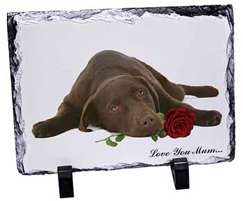 Choc Labrador with Rose 