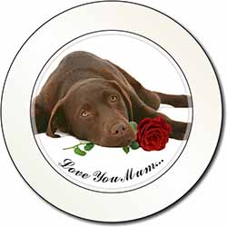 Choc Labrador with Rose 