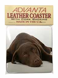 Chocolate Labrador Dog Single Leather Photo Coaster