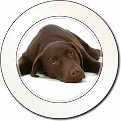 Chocolate Labrador Dog Car or Van Permit Holder/Tax Disc Holder