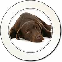Chocolate Labrador Dog Car or Van Permit Holder/Tax Disc Holder