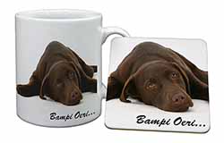 Welsh Chocolate Labrador 