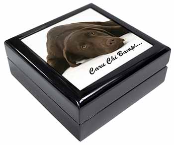 Welsh Chocolate Labrador 