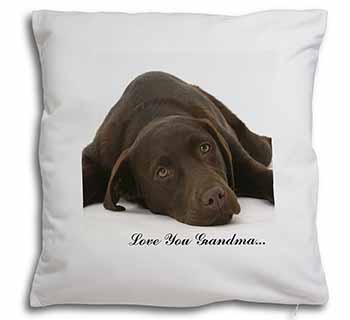 Chocolate Labrador Grandma Soft White Velvet Feel Scatter Cushion