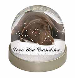 Chocolate Labrador Grandma Snow Globe Photo Waterball