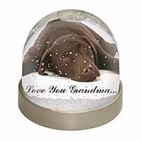 Chocolate Labrador Grandma Snow Globe Photo Waterball