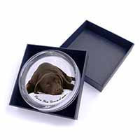 Chocolate Labrador Grandma Glass Paperweight in Gift Box